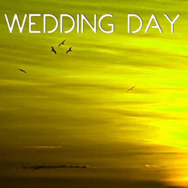 Couverture de Wedding Day