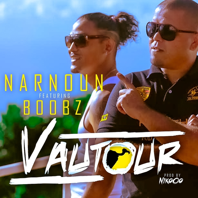 Couverture de Vautour