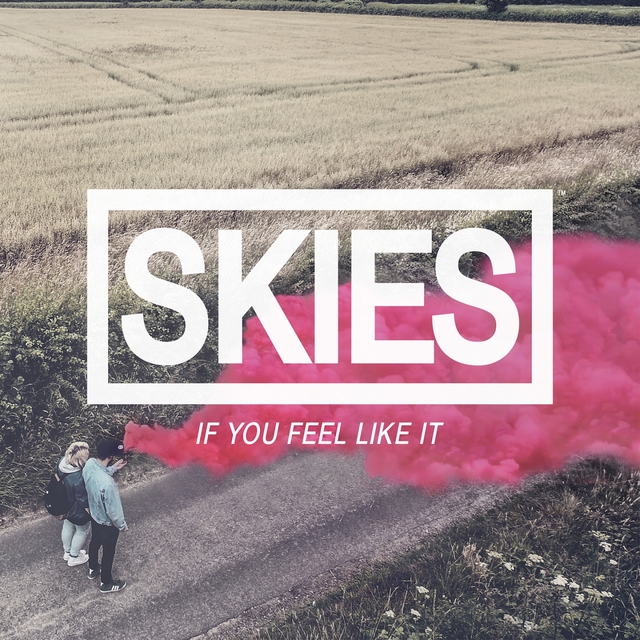 Couverture de If You Feel Like It