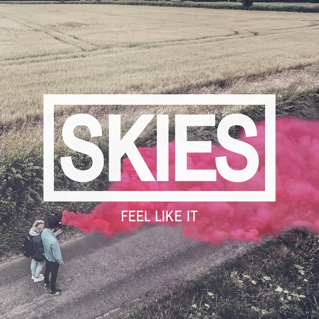 Couverture de Feel Like It