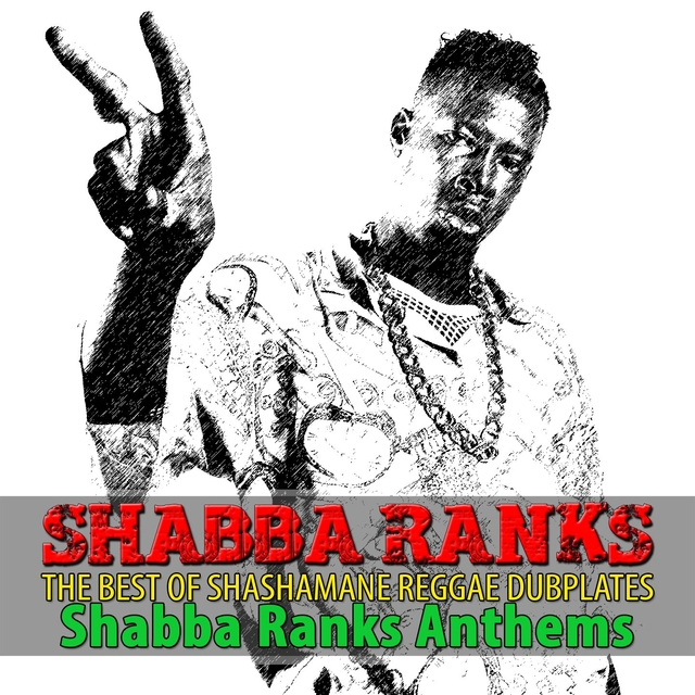 Couverture de The Best of Shashamane Reggae Dubplates