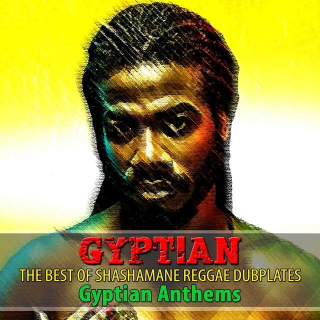 Couverture de The Best of Shashamane Reggae Dubplates