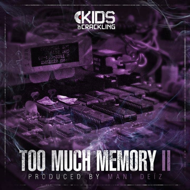 Couverture de Too Much Memory, Vol. 2