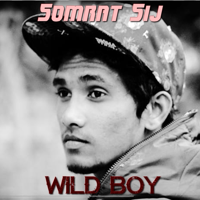 Couverture de Wild Boy