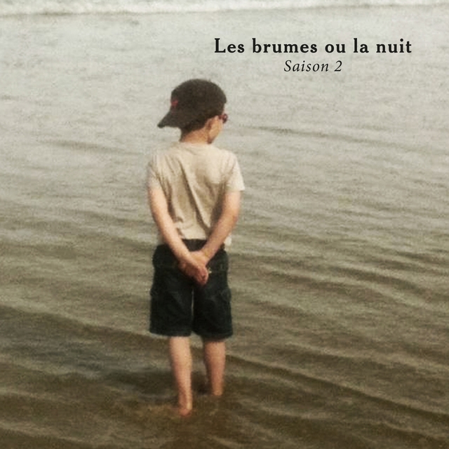 Couverture de Les brumes ou la nuit