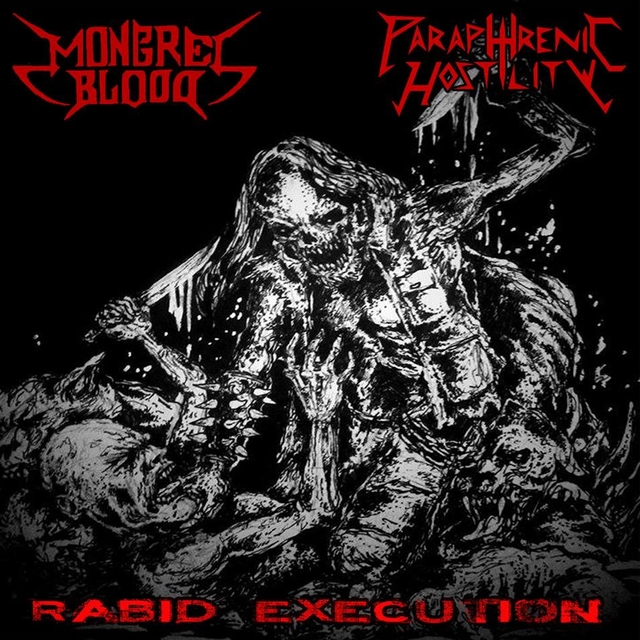 Couverture de Rabid Execution