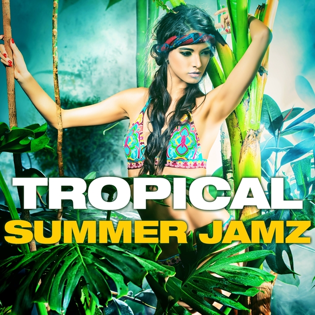 Couverture de Tropical Summer Jamz