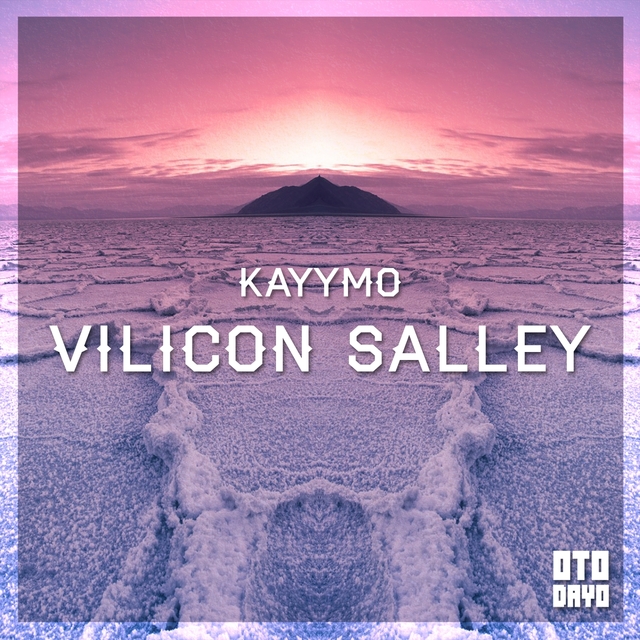 Vilicon Salley