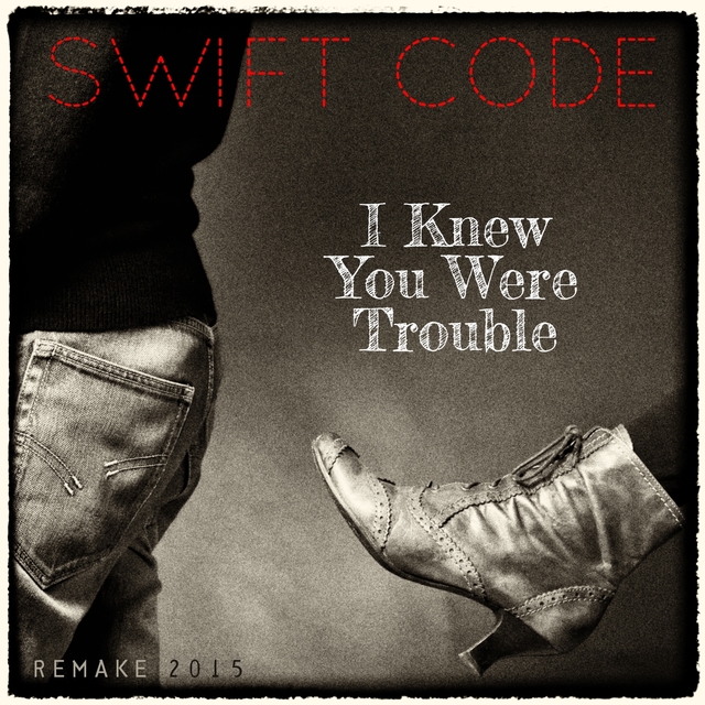 Couverture de I Knew You Were Trouble