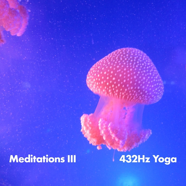 Couverture de 432Hz Meditations III