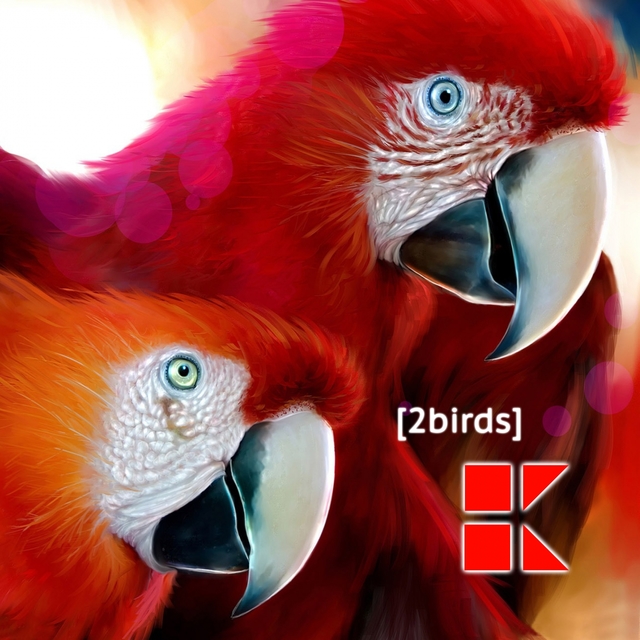 Couverture de 2BIRDS