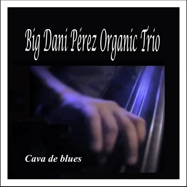 Cava de Blues: Big Dani Pérez Organic Trio