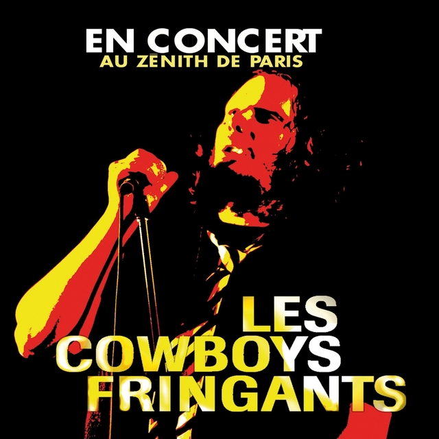 Couverture de En concert au Zénith de Paris