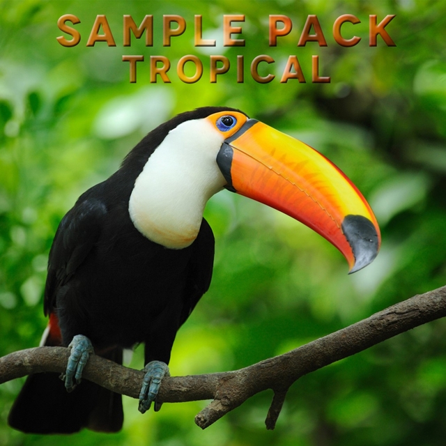 Sample Pack Tropical