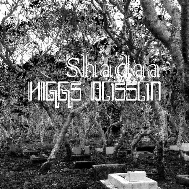 Couverture de Shadaa