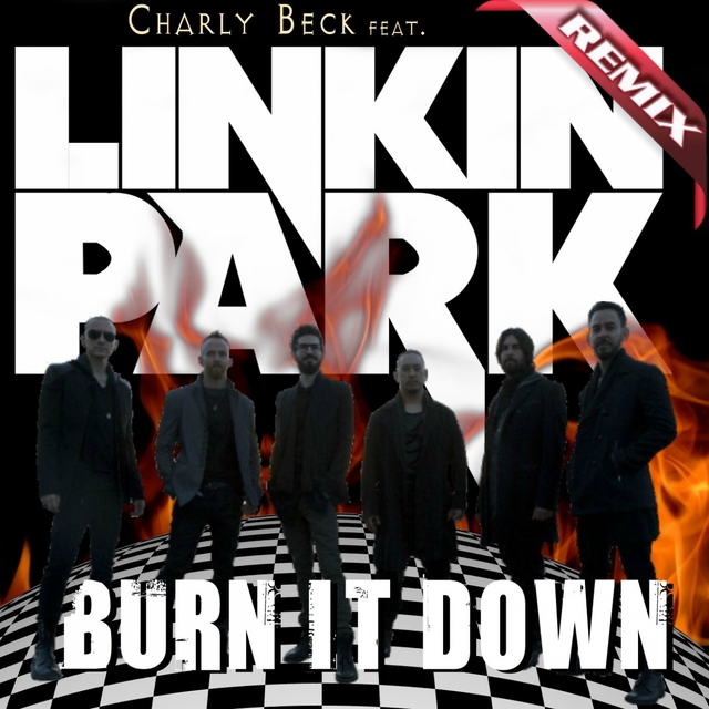 Couverture de Burn It Down