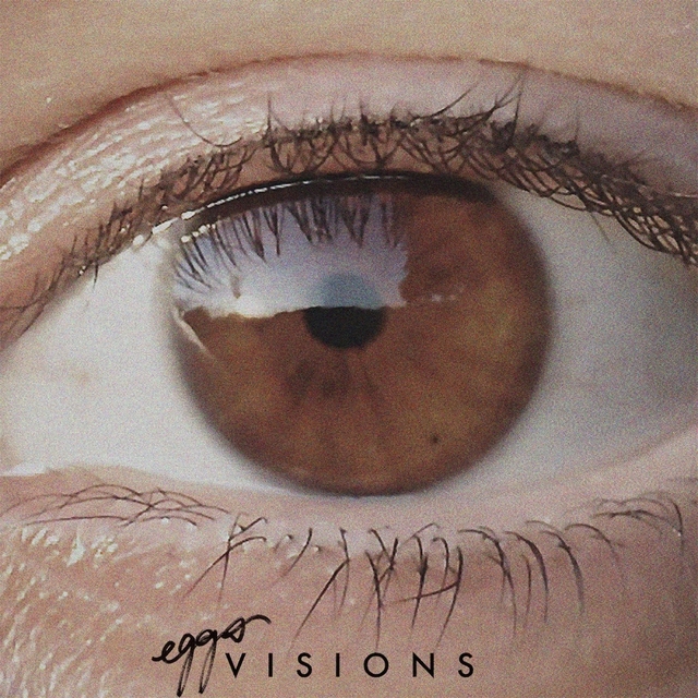 Couverture de Visions