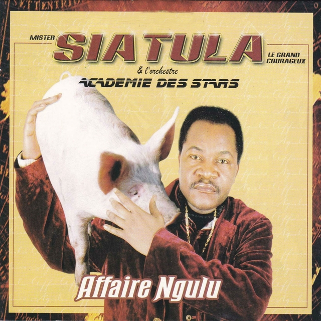 Couverture de Affaire ngulu