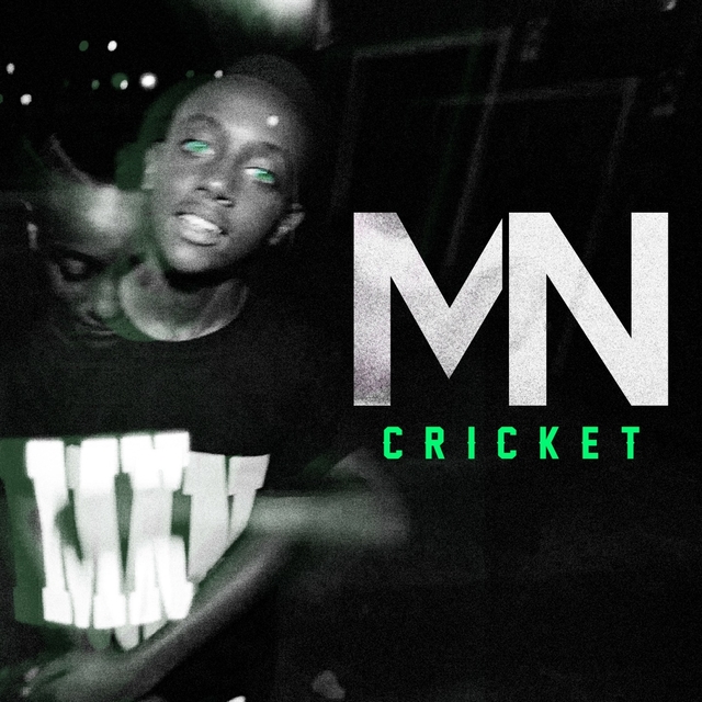 Couverture de Cricket