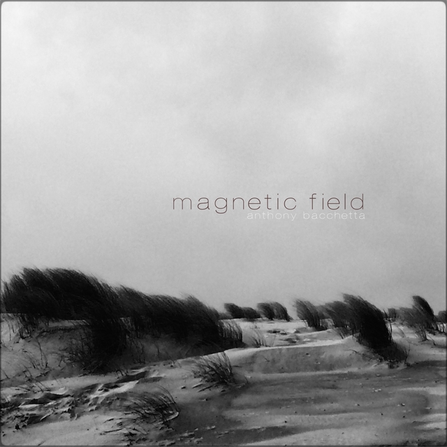 Couverture de Magnetic Field