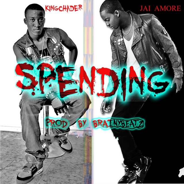 Couverture de Spending