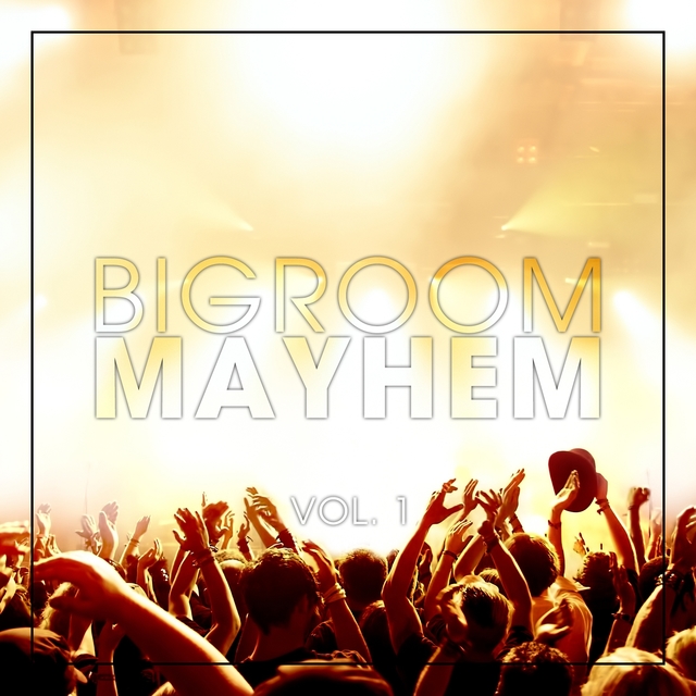 Couverture de Bigroom Mayhem, Vol. 1