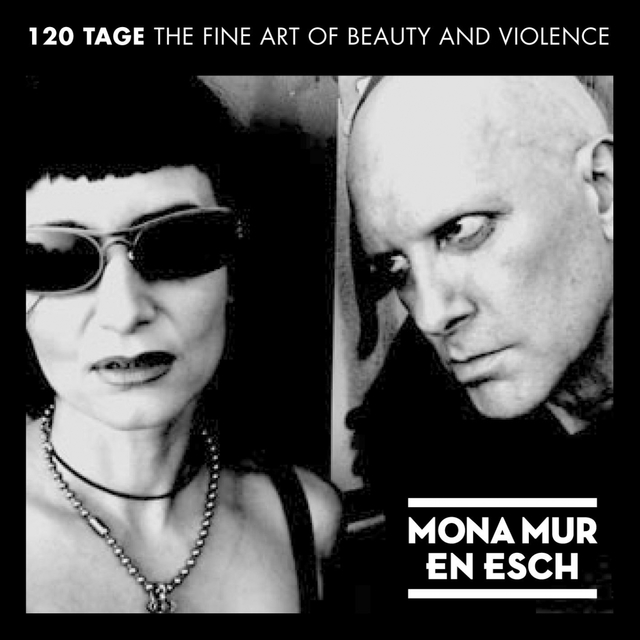 Couverture de 120 Tage - The Fine Art of Beauty & Violence