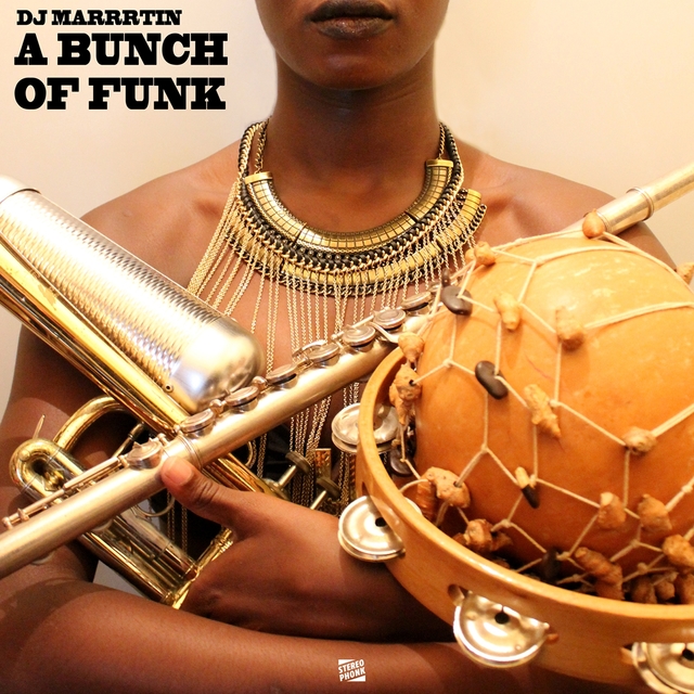 Couverture de A Bunch of Funk