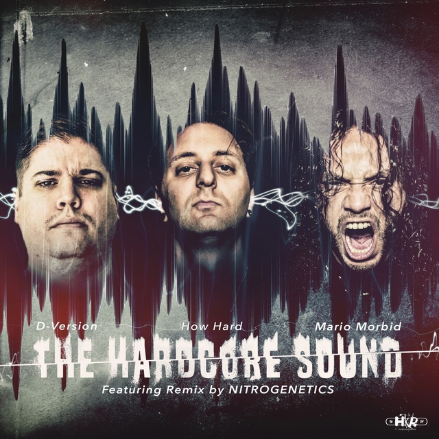 Couverture de The Hardcore Sound