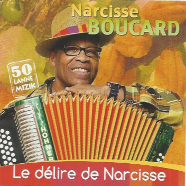 Couverture de Le délire de Narcisse