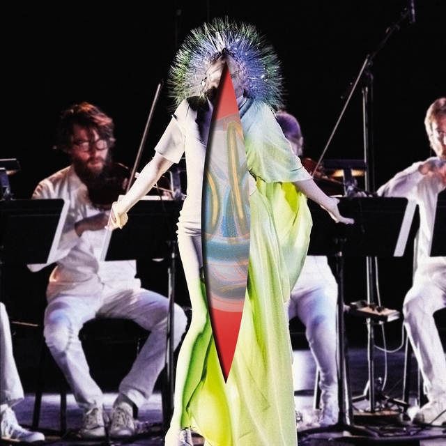 Couverture de Vulnicura Strings