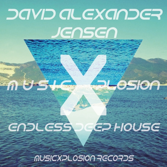 Couverture de Endless Deep House