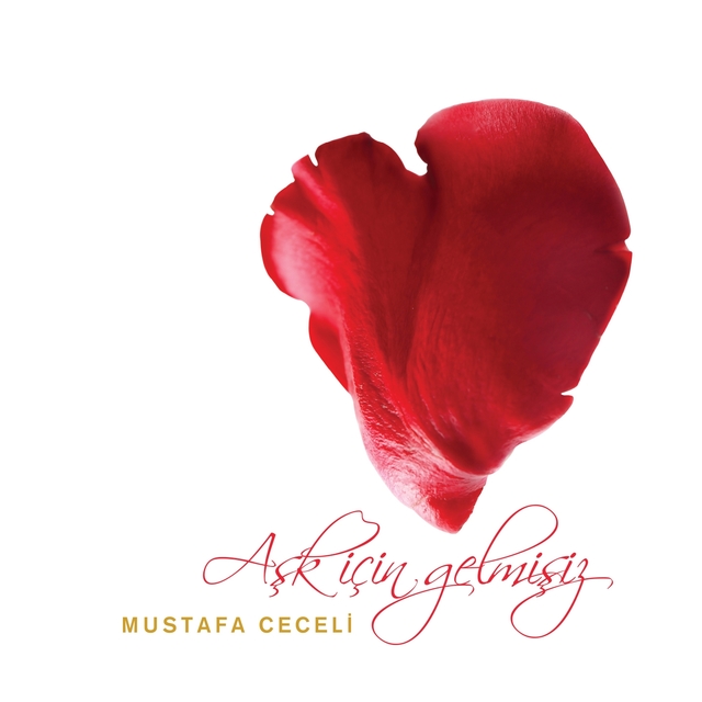 Couverture de Aşk İçin Gelmişiz