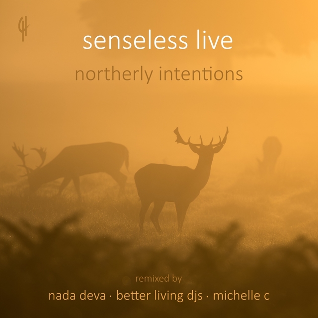 Couverture de Northerly Intentions