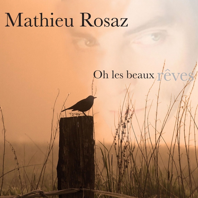 Couverture de Oh les beaux rêves