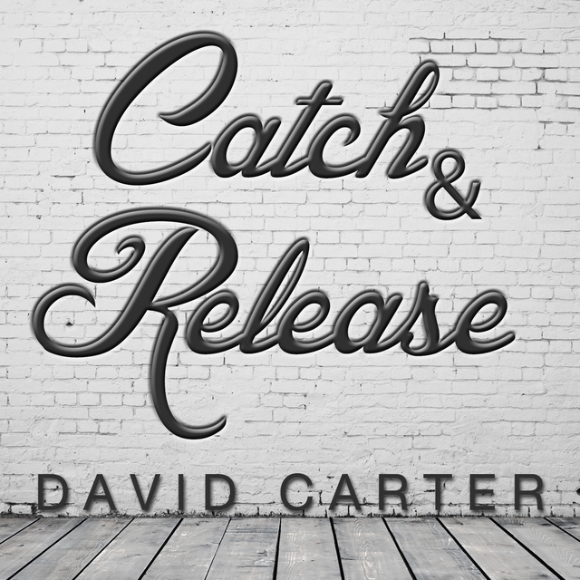 Couverture de Catch & Release