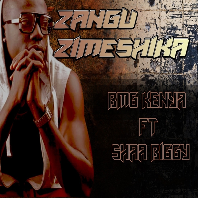 Couverture de Zangu Zimeshika