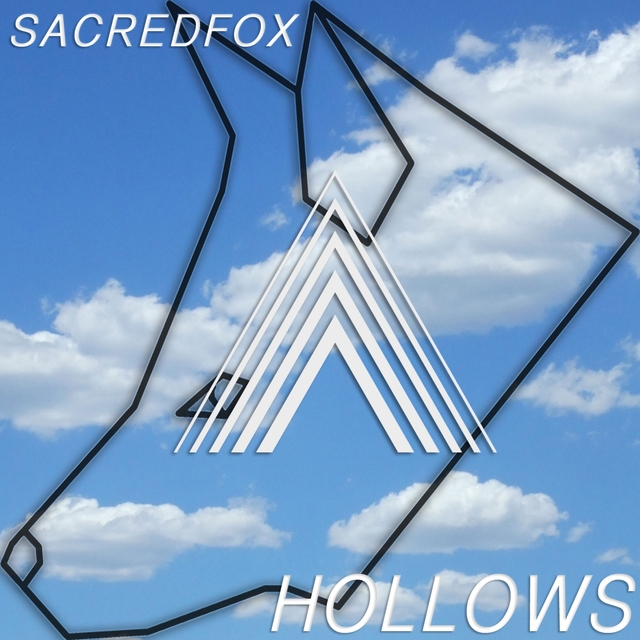 Couverture de Hollows