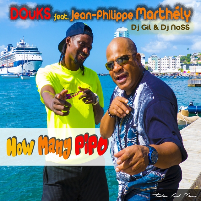 Couverture de How Many Pipo