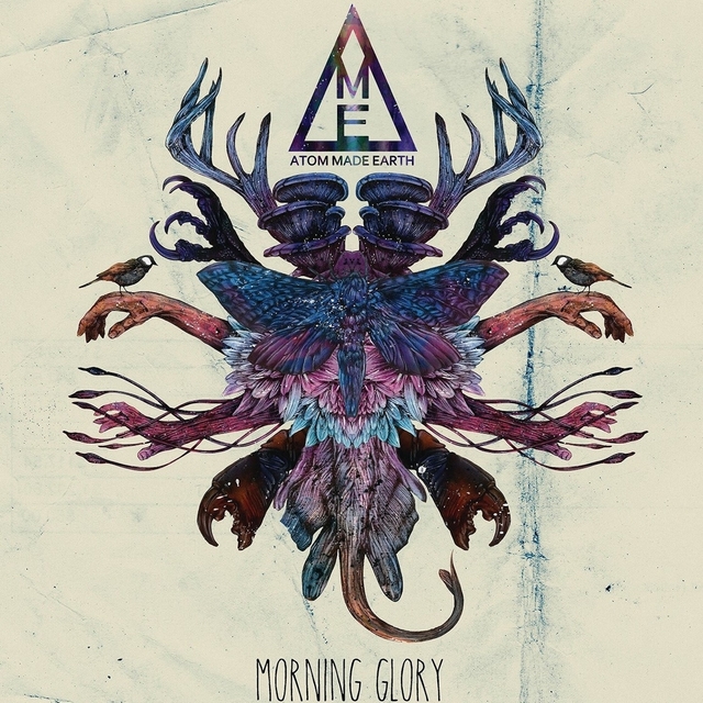 Couverture de Morning Glory