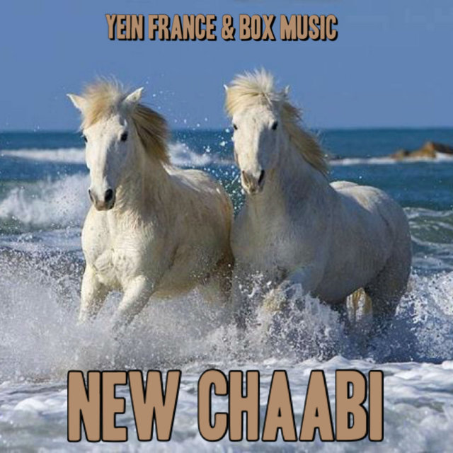 Couverture de New Chaabi