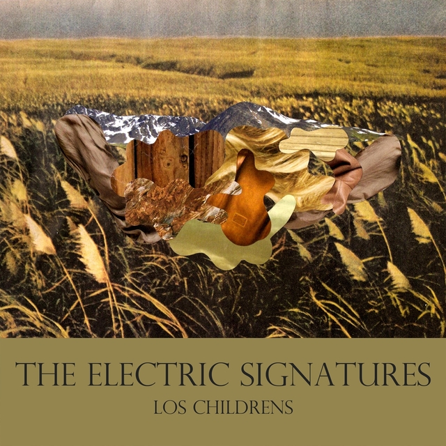 Couverture de The Electric Signatures
