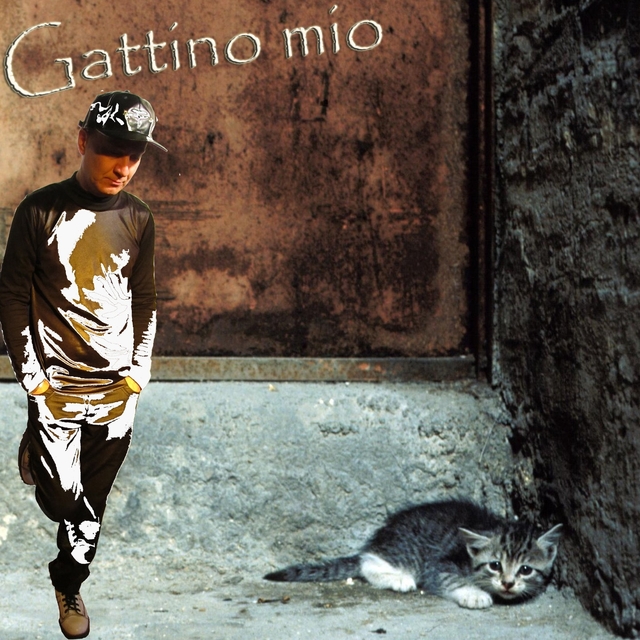 Couverture de Gattino mio