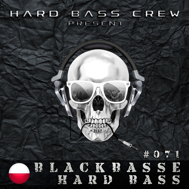 Couverture de Hard Bass