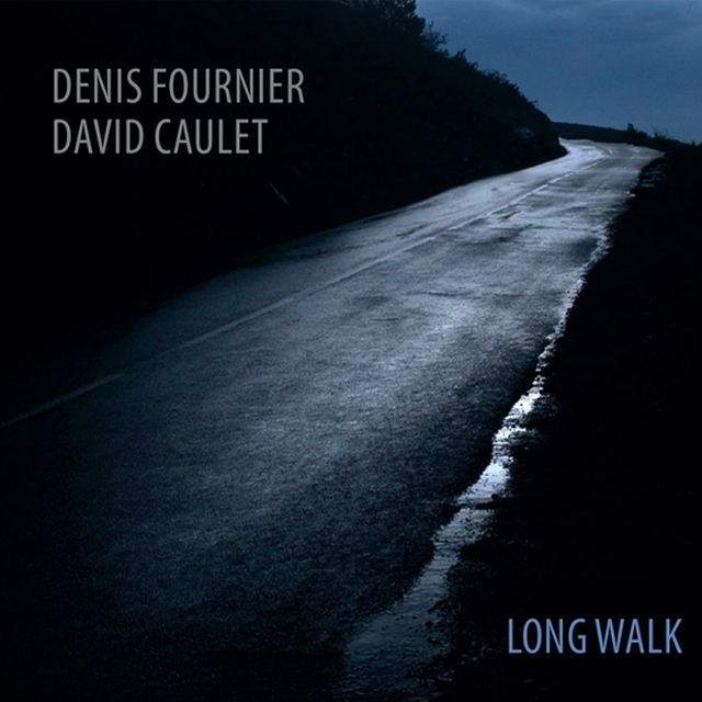 Couverture de Long Walk