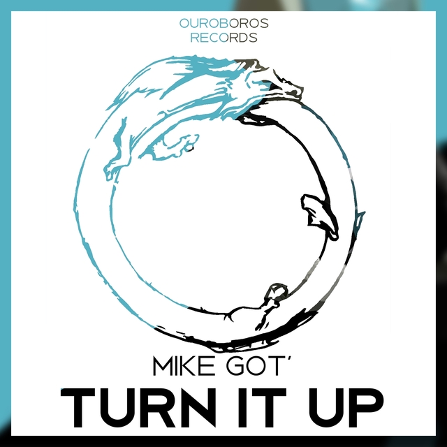 Couverture de Turn It Up