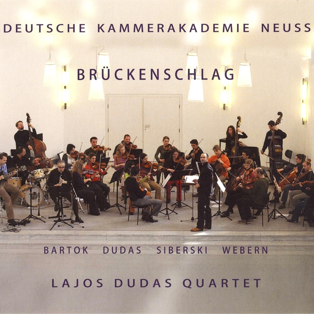 Couverture de Brückenschlag