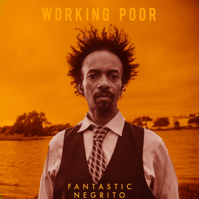 Couverture de Working Poor