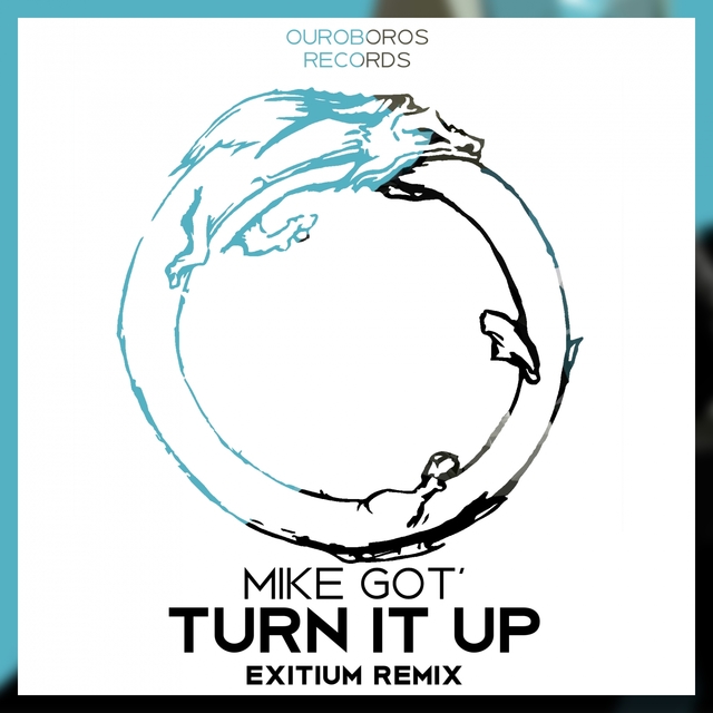 Couverture de Turn It Up