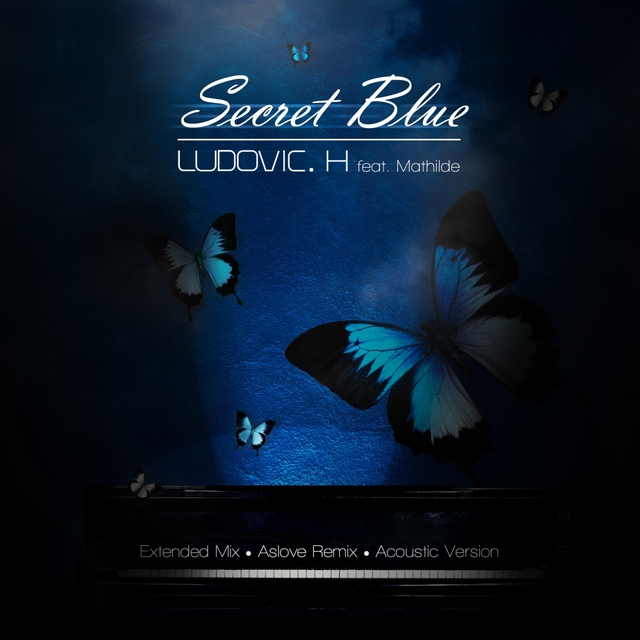 Couverture de Secret Blue